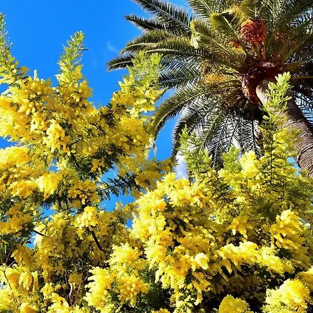 Garden Cap D'antibes شقة